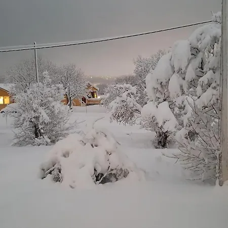 Spacious House In Tromso, Perfect For Groups Of Families, Tourists Or Workers *