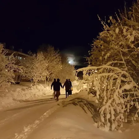 Spacious House In Tromso, Perfect For Groups Of Families, Tourists Or Workers