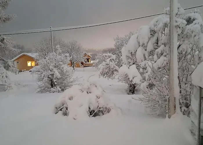 Spacious House In Tromso, Perfect For Groups Of Families, Tourists Or Workers *