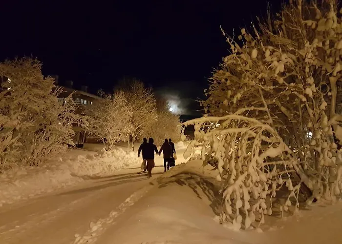 Spacious House In Tromso, Perfect For Groups Of Families, Tourists Or Workers